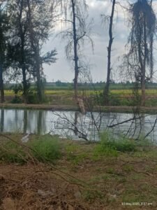 IMG_20250510_153712033_HDR